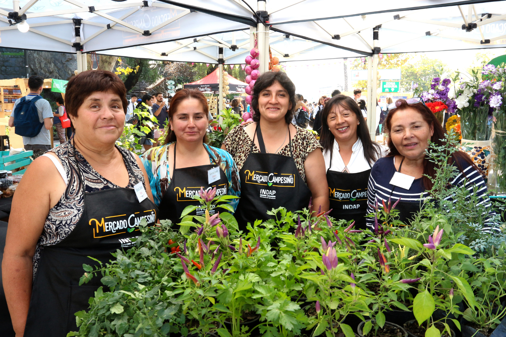 mercados campesinos